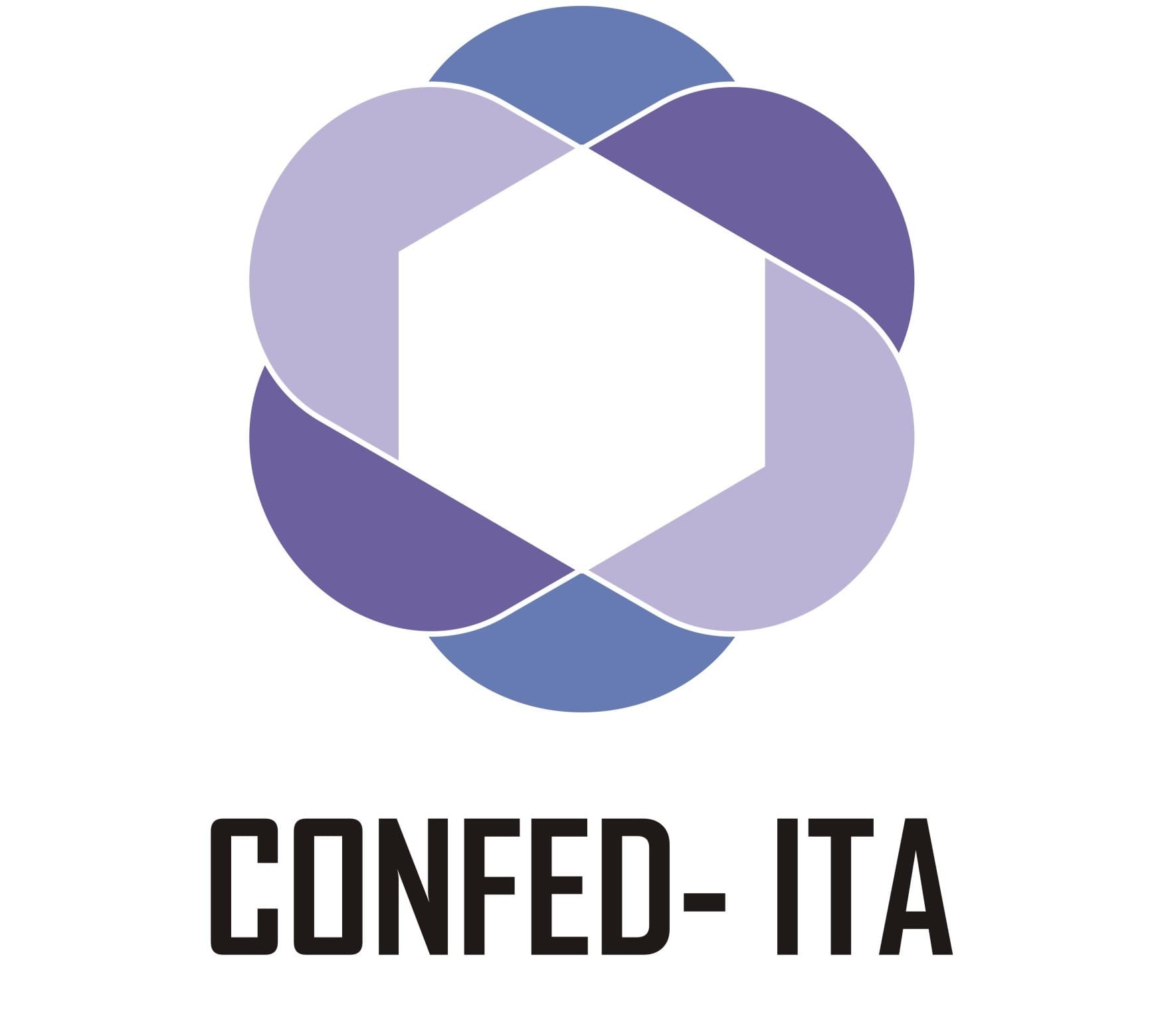 Confederation of Information Technology Associations (CONFED-ITA)